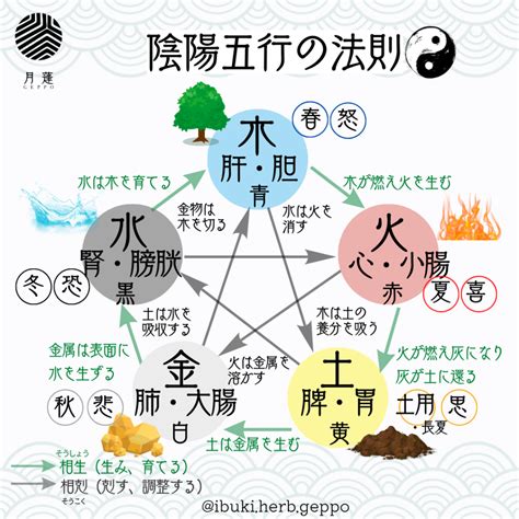 陰陽五行意思